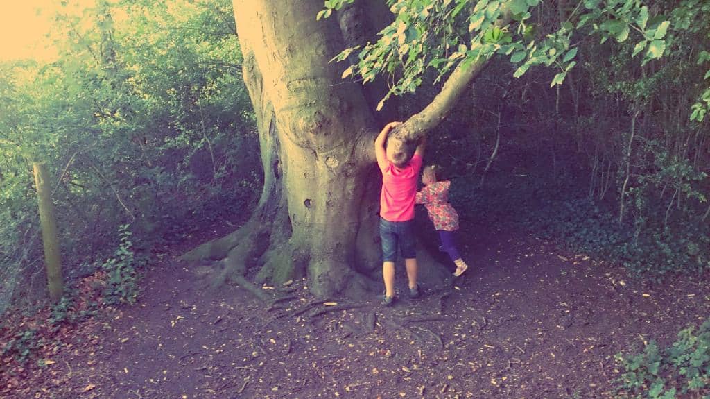 WW2 Plane Crash Site