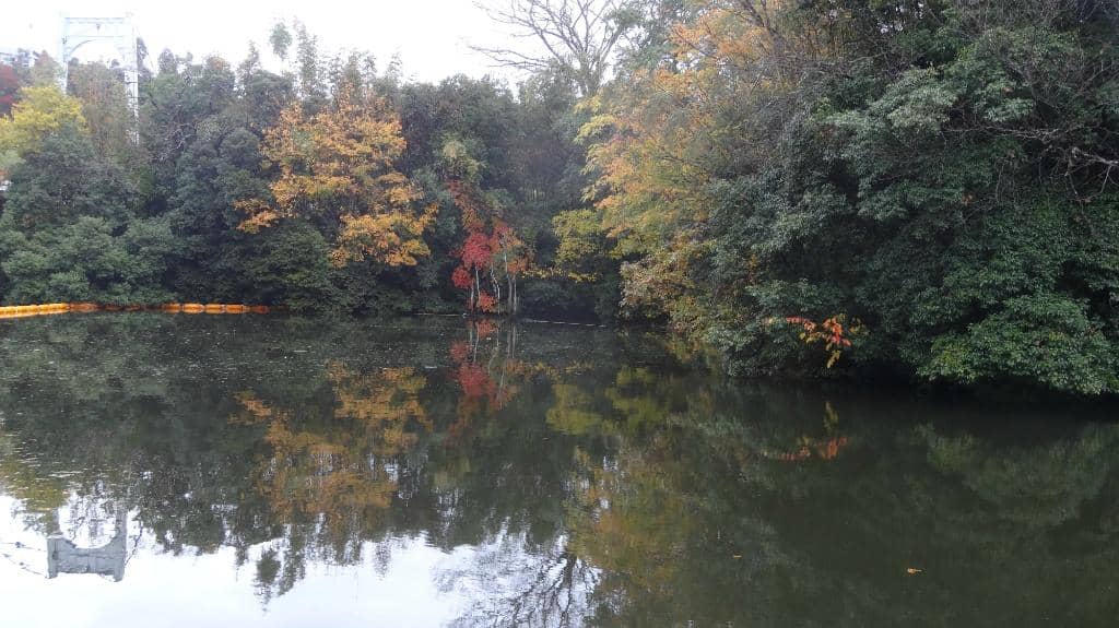 Exploring Creeks and Gorges