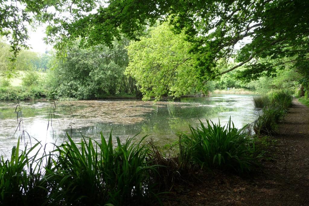 Lake and Woodland Walk