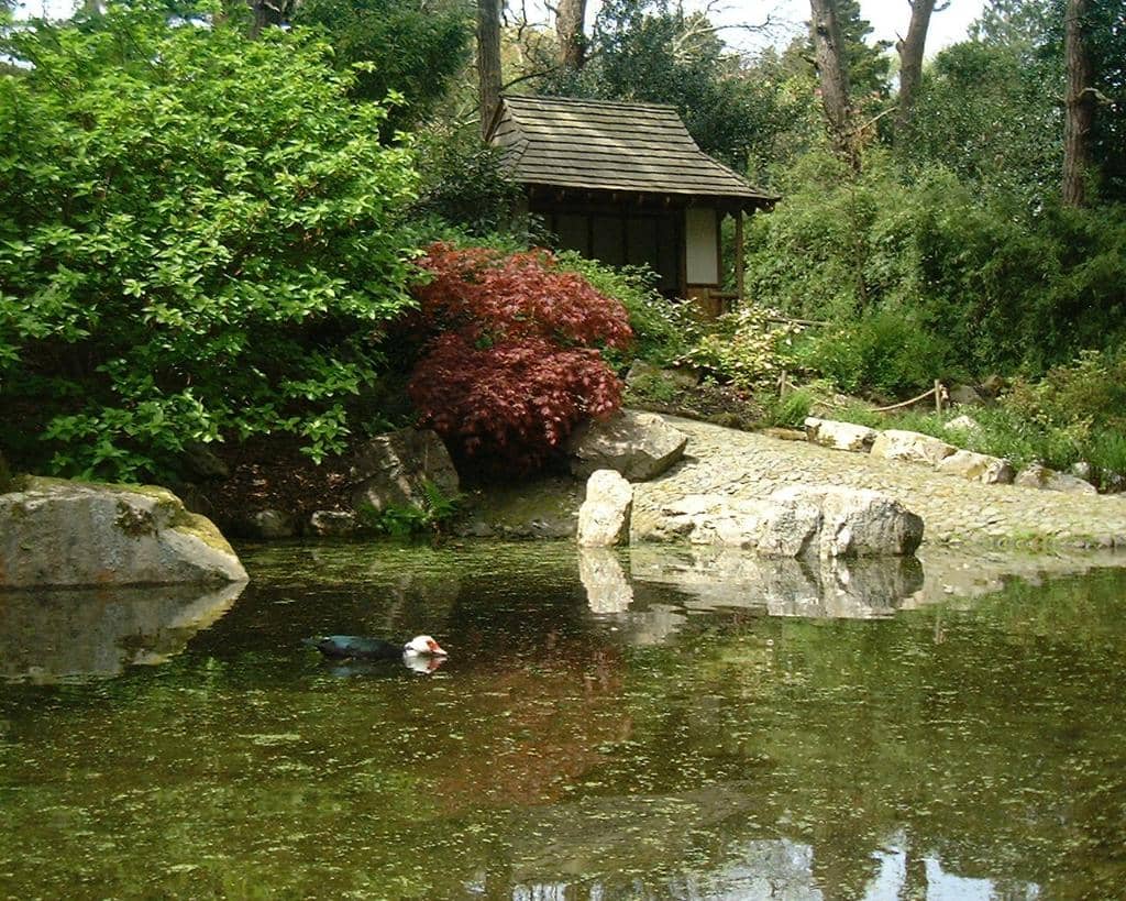 Winter Garden