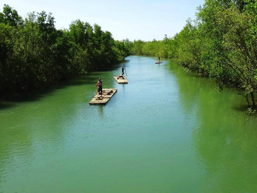 Mangrove Boardwalk