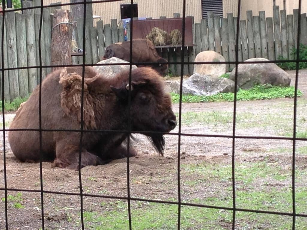 Hoyt Lake & Japanese Garden