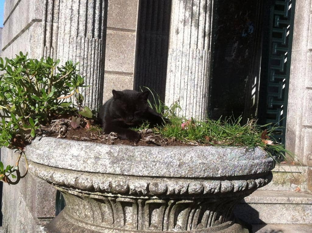 Allan Kardec's Tomb