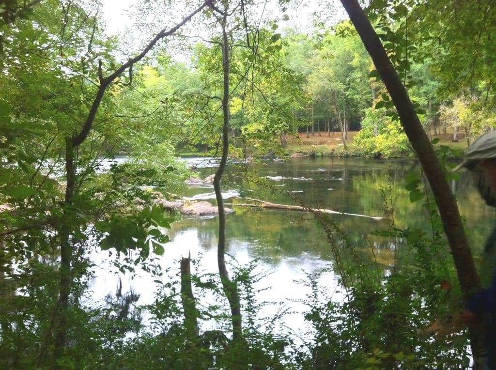 River Observation & Trails