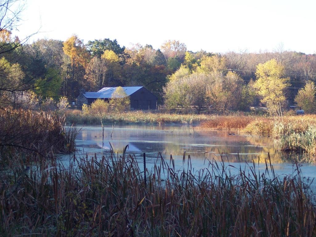 Lake James Beach