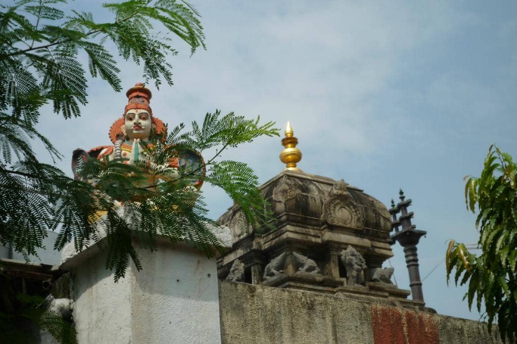 Well-Maintained Complex