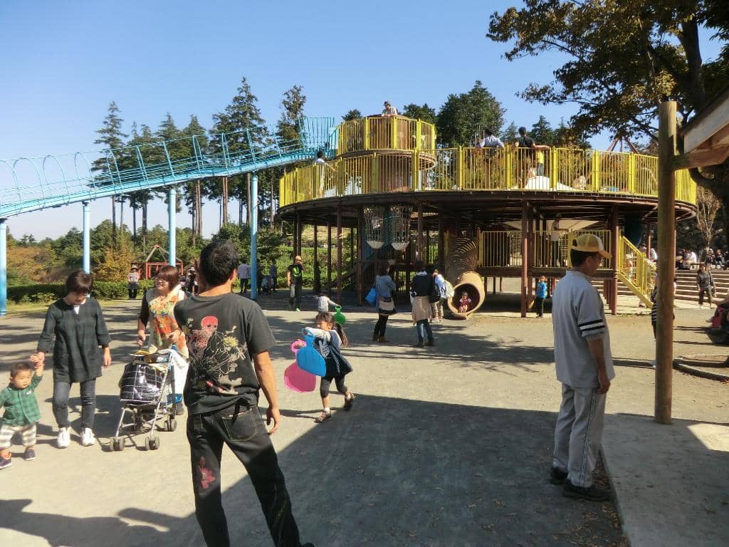 Miniature Train Ride