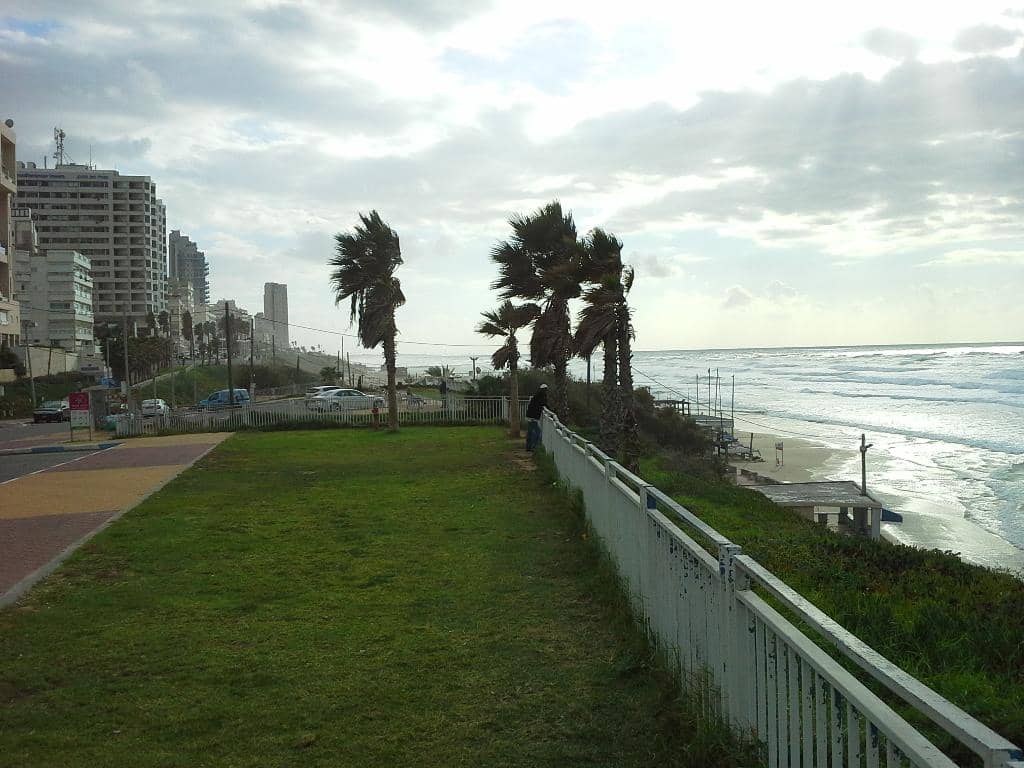 Invigorating Seaside Jogging