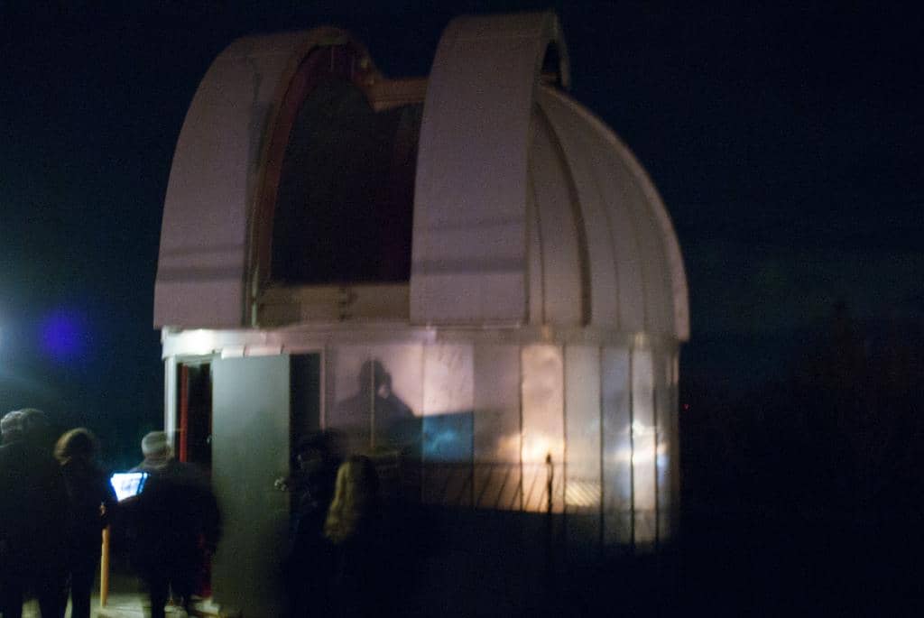 Live Animal Exhibits