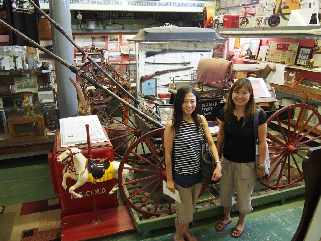 Immersive Plantation Life