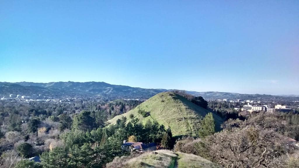 Diverse Wildlife Spotting