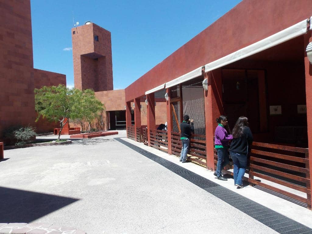 Highlights