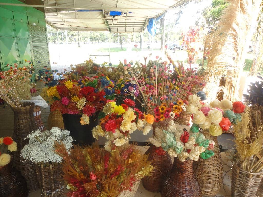 Panoramic City Views