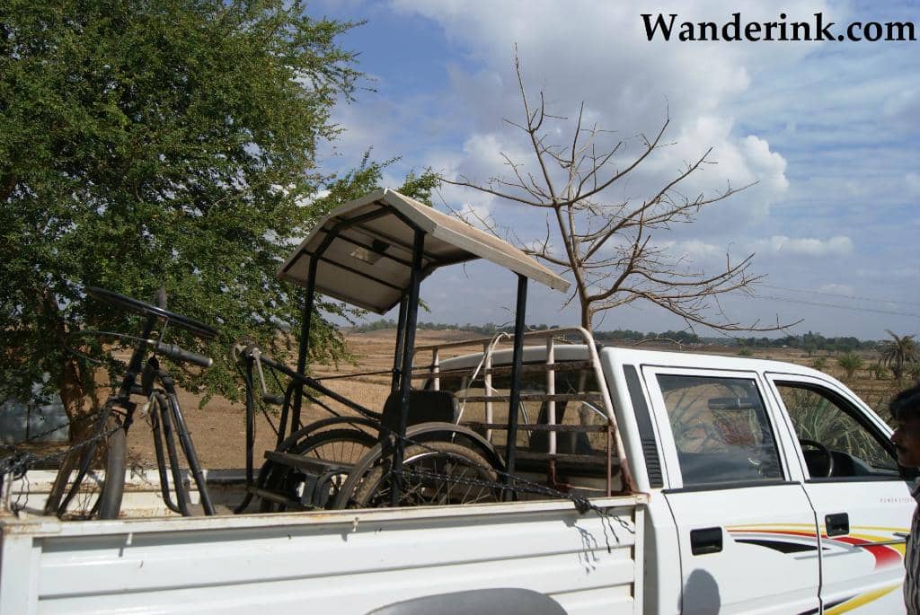 Memorial Plantations