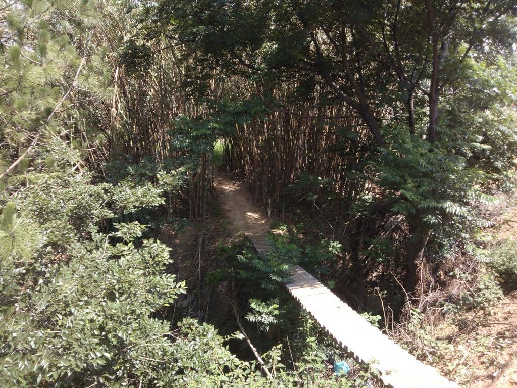 Vertical photo