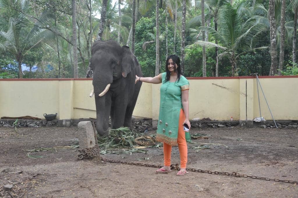 Feeding and Bathing Rituals