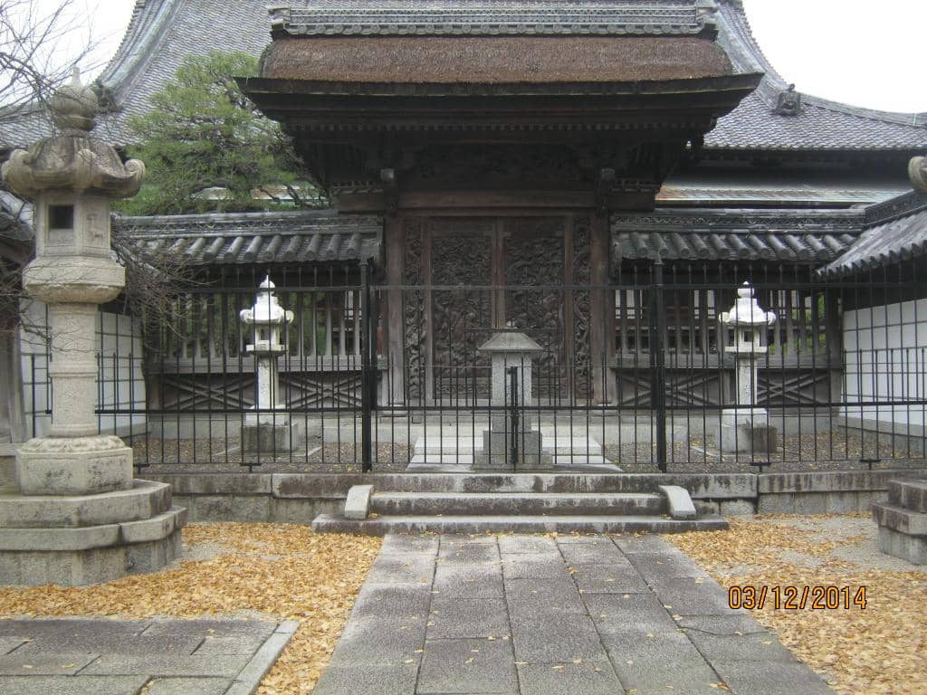 Vertical photo