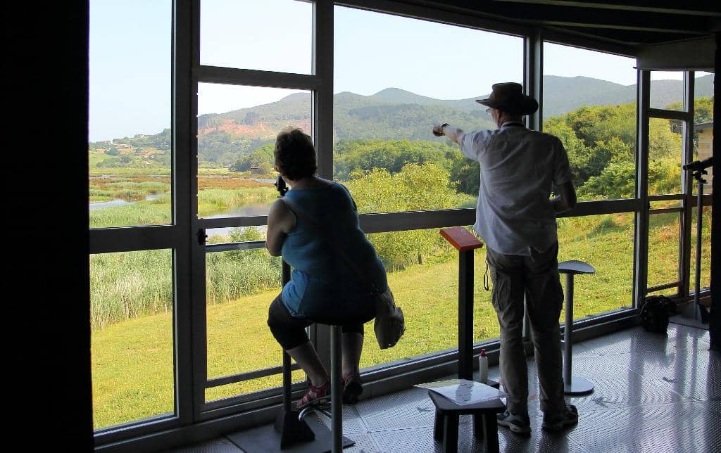 Interactive Exhibits