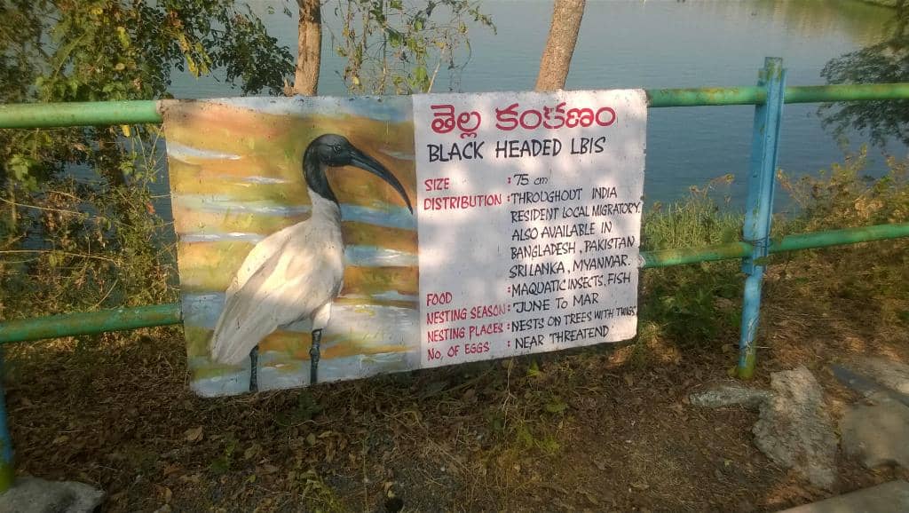 Photography Opportunities