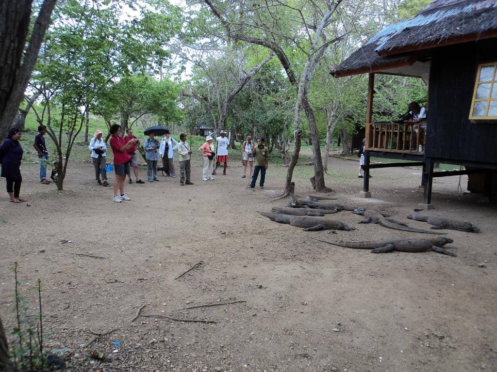 Padar Island Viewpoint