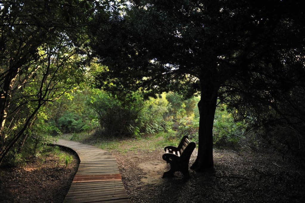 Third hero image
