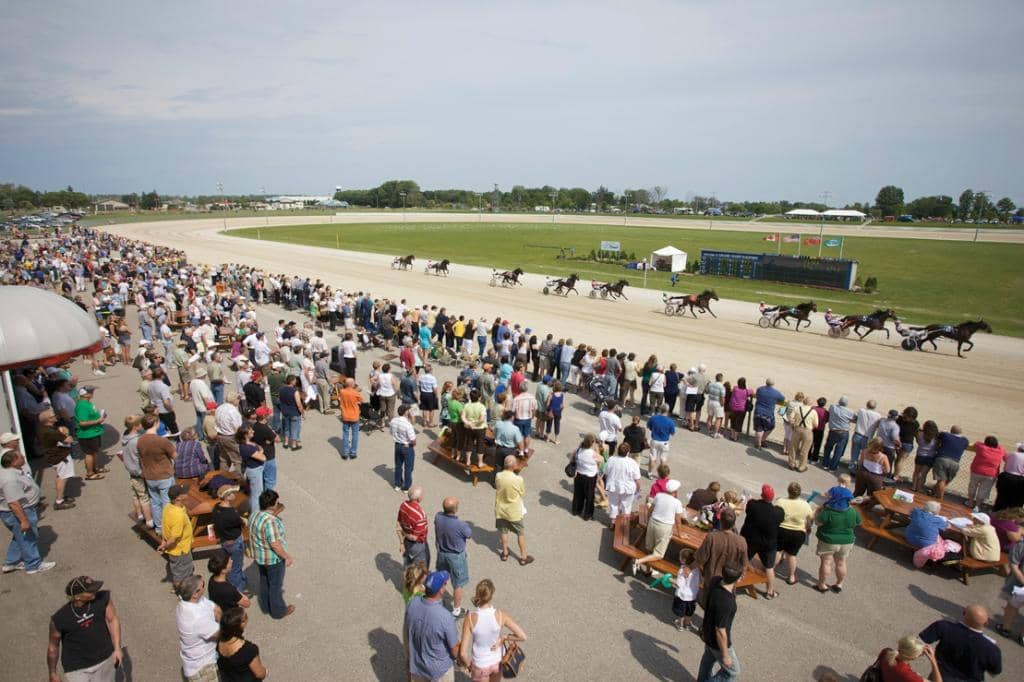 Wiener Dog Races