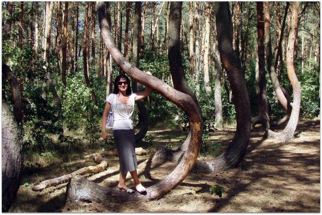 The Mystery of the Bends