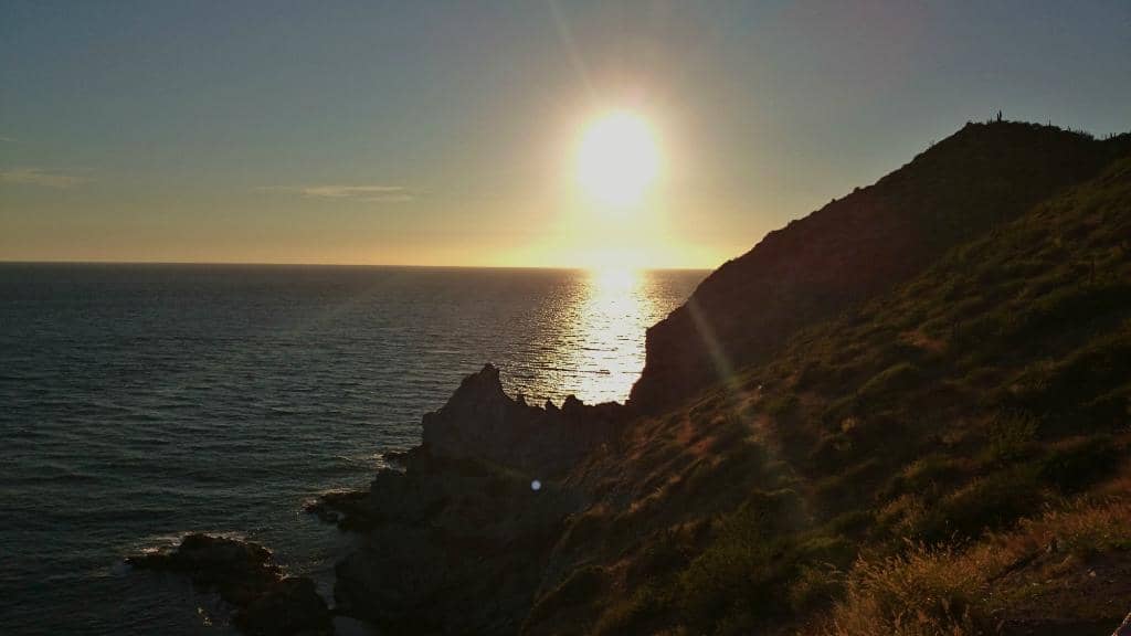 Wildlife Spotting Opportunities