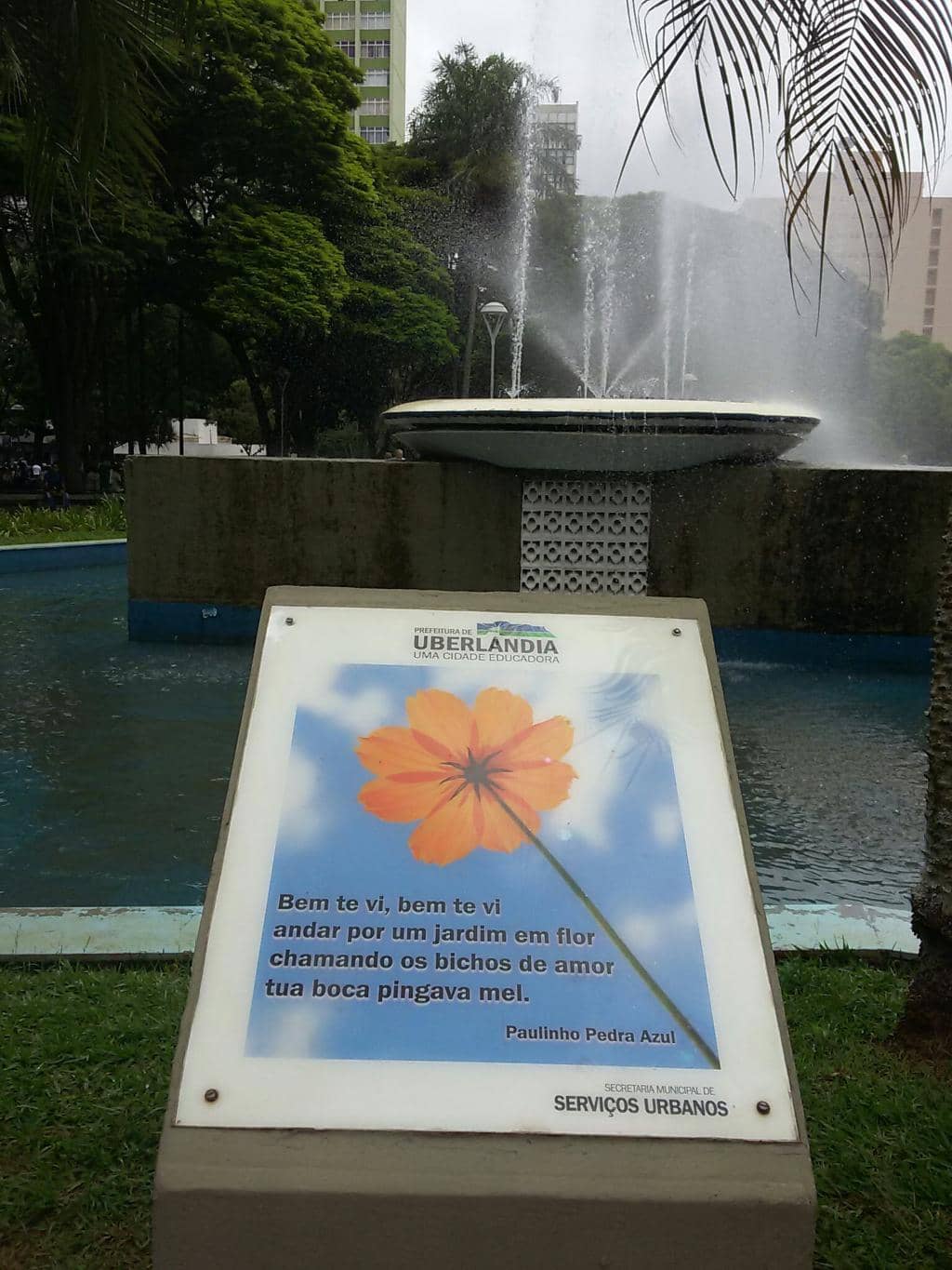 Urban Green Space
