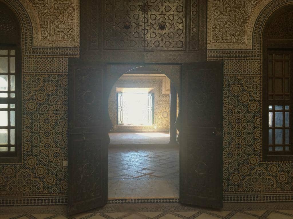 Humorous Animal Antics