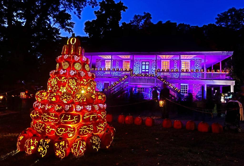 Themed Pumpkin Scenes