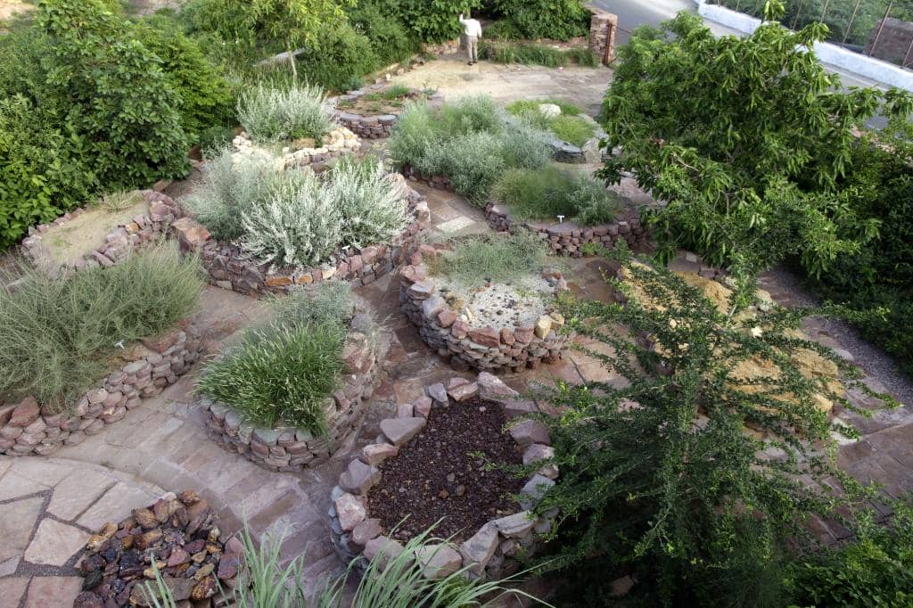 Native Flora and Fauna