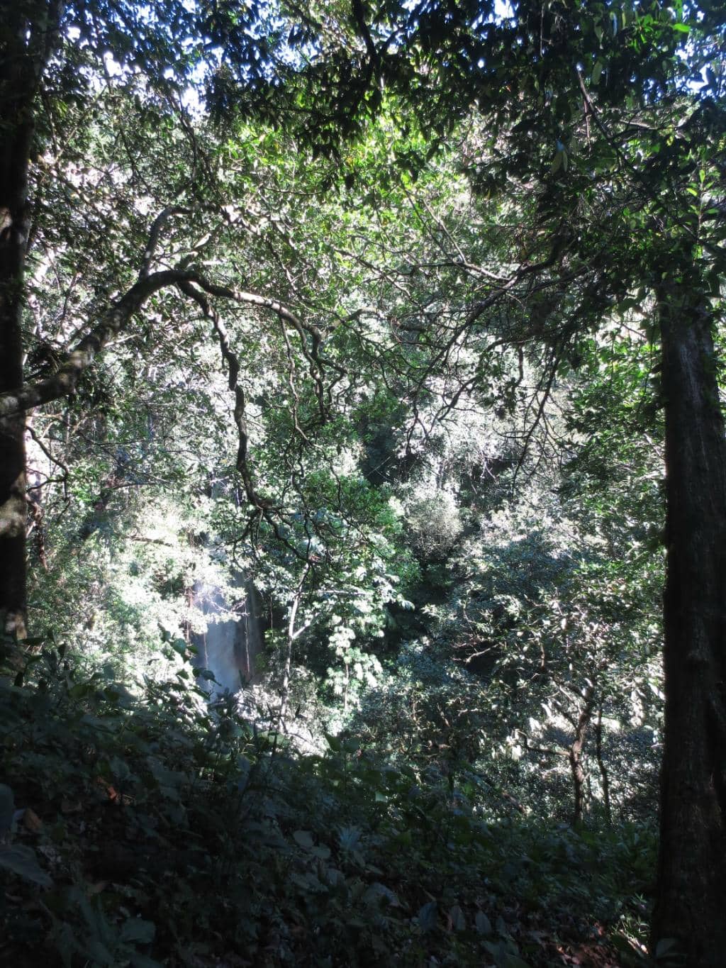 Waterfall Views