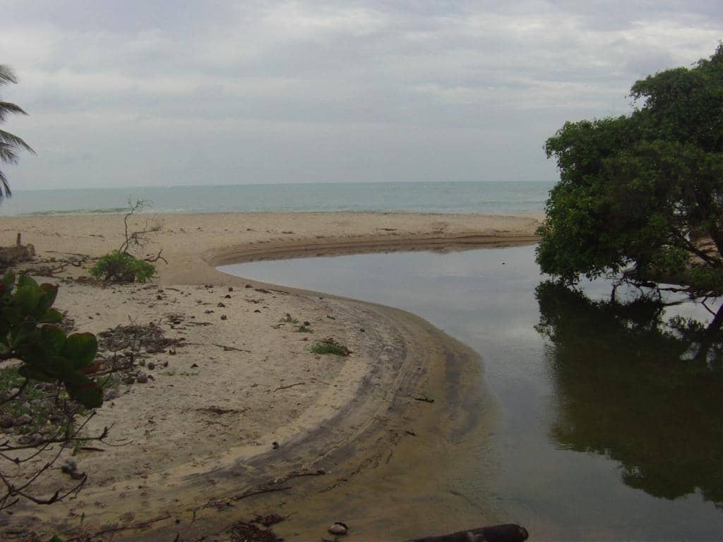 Coral Reefs at Low Tide