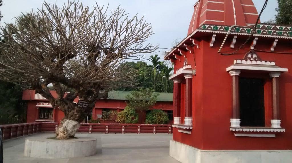 Buddha Statue