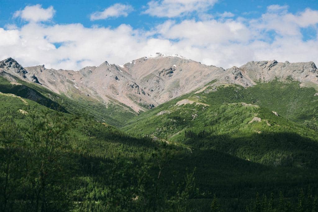 Signature Baked Alaska