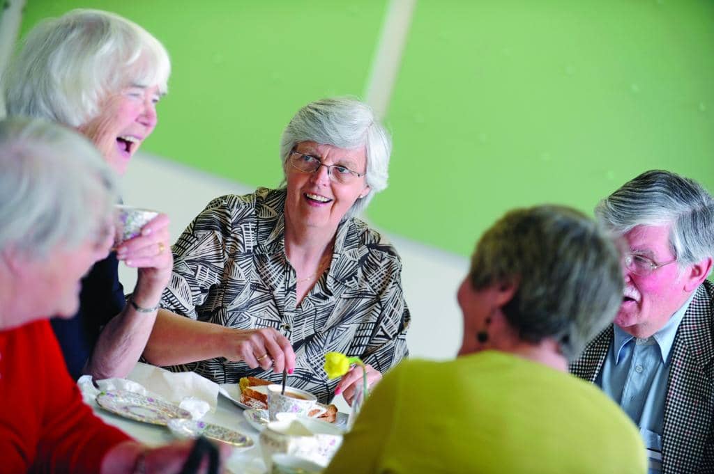 New Focus: Bradford Young Curators