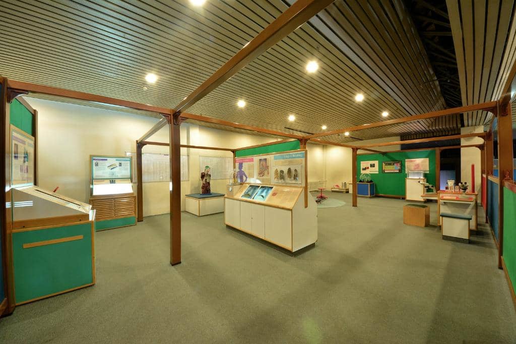 Expert Demonstrations