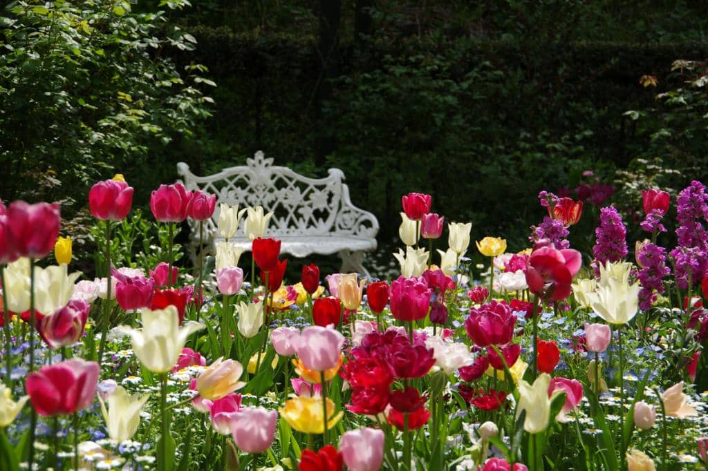 Themed Gardens