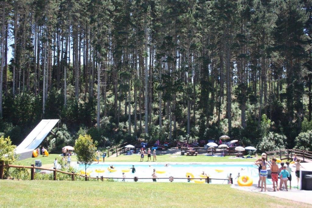 Picnic Paradise