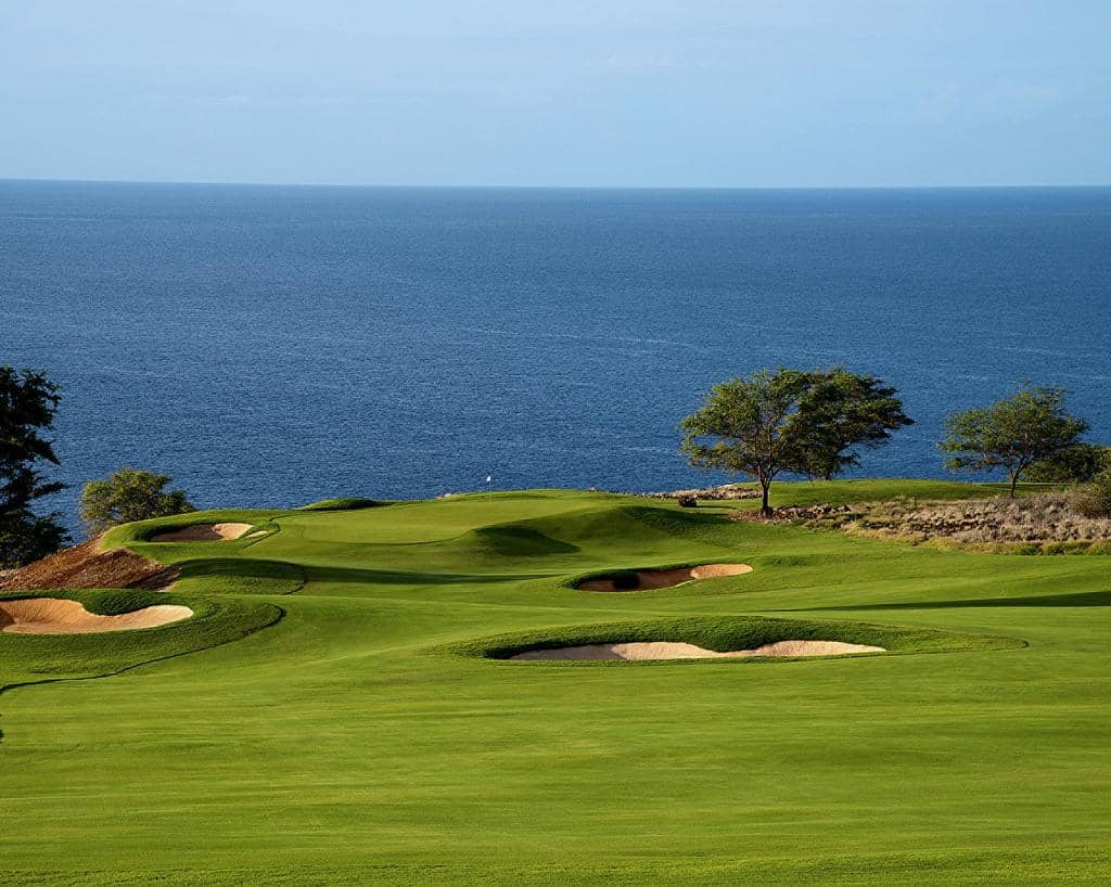 Immaculate Conditions