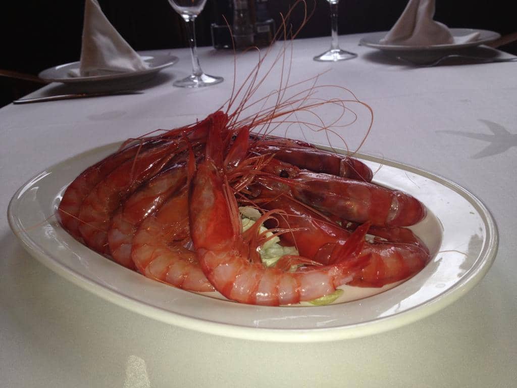 Phoenician Settlement Ruins