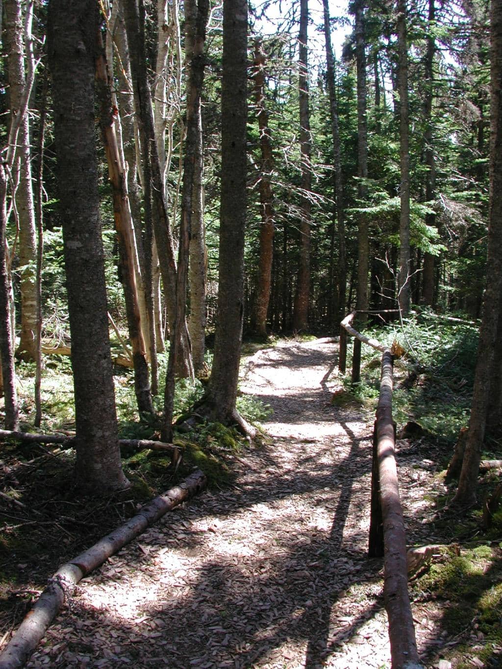 Peaceful Nature Trails