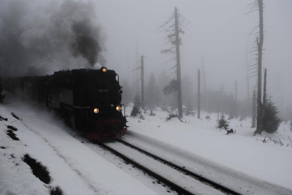 Autumn Foliage & Winter Wonderland