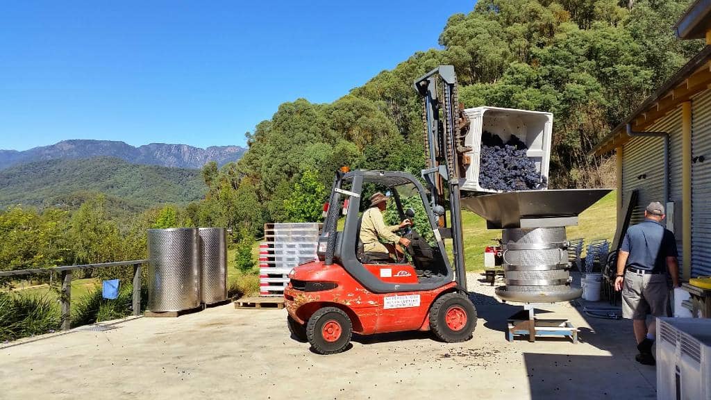 Wine Tasting Experience