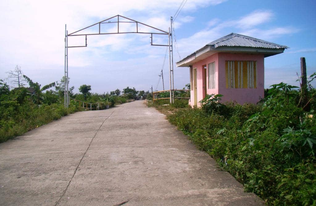 Seaside Dining Experience