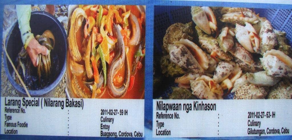 Nilapwaan nga Kinhasion