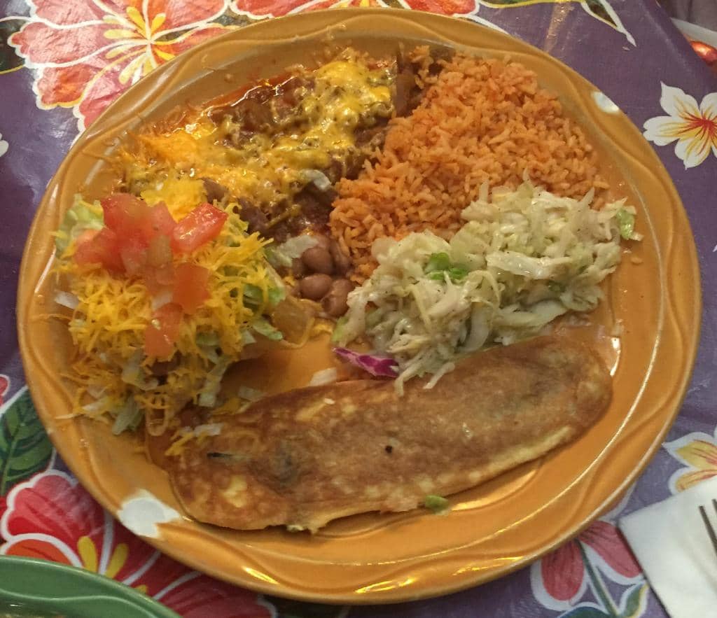 Aviary & Piranha Tank