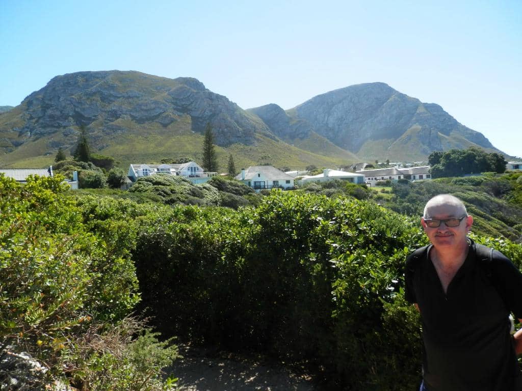 Fynbos Flora