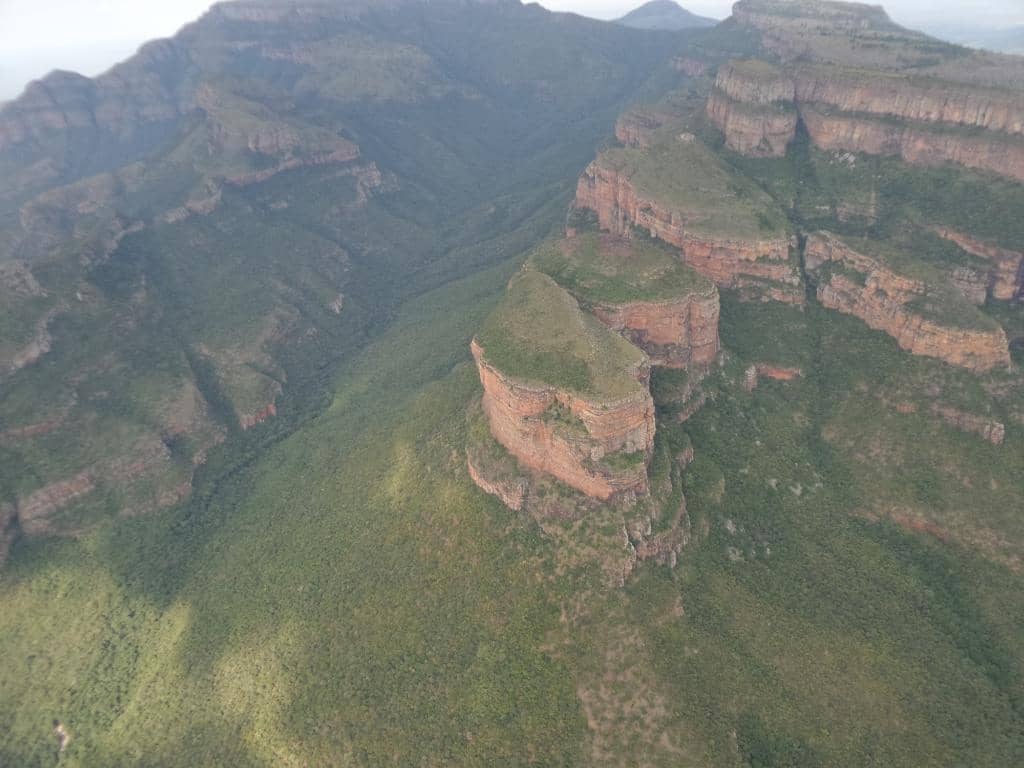 Wildlife Spotting from Above